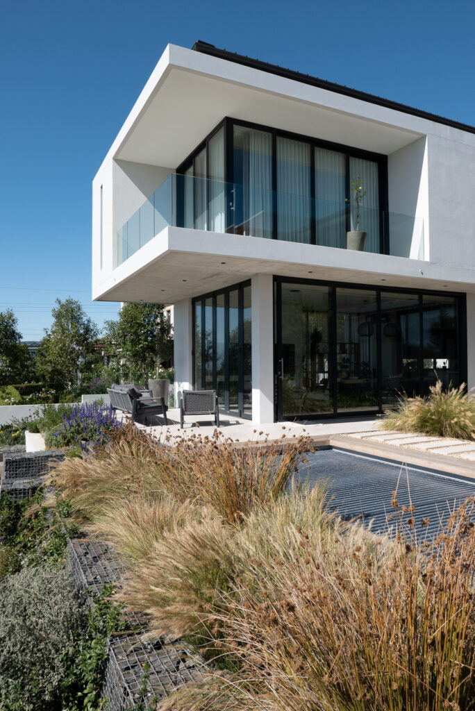 Contemporary indigenous garden in Clara Anna Fontein, Durbanville