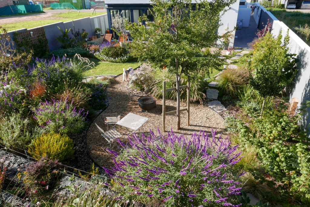 Mixed perennial garden in Winelands Village Estate