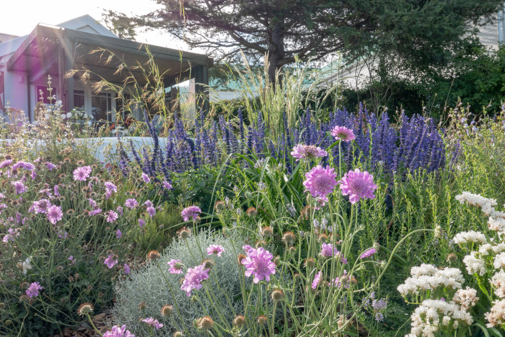 Naturalistic planting at a garden in Welgedacht Estate